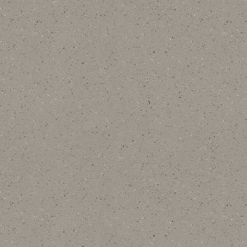 Grandex D-309 Mushroom Soup