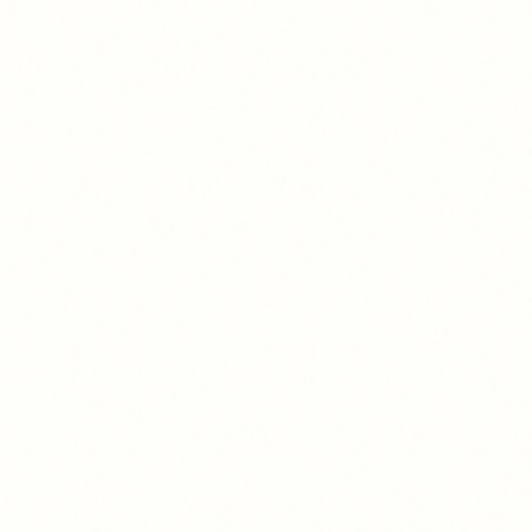 Bright White BW010